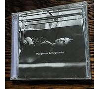 Thea Gilmore - Burning Dorothy
