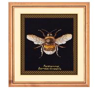 Thea Gouverneur - Kit Punto Croce Contato - Bombo - Aida Nero - 18 Conteggi - Per adulti - 3018.05