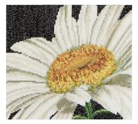 Thea Gouverneur - Kit Punto Croce Contato - margherita - Aida - 18 Conteggi - Per adulti - 490A