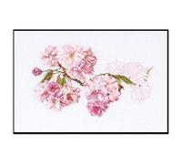 Thea Gouverneur - Kit Punto Croce Contato - Prunus - Aida - 18 Conteggi - Per adulti - 512A