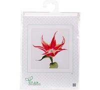 Thea Gouverneur Kit Punto Croce, Giglio Tulip Fioritura su Aida (16 Conteggio), 34x36cm