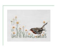 Thea Gouverneur kit punto croce "Summer Robin Aida", 20x14cm