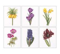 Thea GOUVERNEUR SINCE 1959 Floral Studies-Kit per Punto Croce 3 su Tela Aida, 17,1 x 20,3 cm, 18 Punti (Set da 6), Tessuto, 6 x 17x20cm