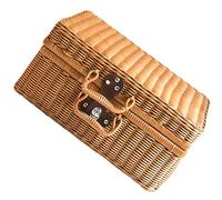 Theaque Valigia in rattan artificiale, cestino portaoggetti in vimini retrò, organizer per cosmetici, cinturino in pelle, chiusura in metallo, per picnic, cibo, campeggio, viaggi (22 x 16 x 10 cm)