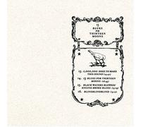 Thee Silver Mt. Zion Memorial Orchestra - 13 Blues For Thirteen Moons