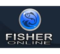 theFisher Online (PC) Steam Gift - EU