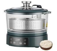 THEGA Cuociriso A Basso Contenuto di Zuccheri con Sollevamento Automatico, Recipiente in Vetro Trasparente, 4 Livelli di Calore, Funzione di Mantenimento in Caldo E Display Digitale(Green)