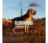 theHunter: Call of the Wild - Bloodhound (DLC) (PC) Steam Key - GLOBAL