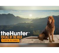 theHunter: Call of the Wild - Essentials Bundle (DLC) (PC) Steam Key - GLOBAL