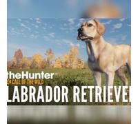 theHunter: Call of the Wild - Labrador Retriever(DLC) (PC) Steam Gift - GLOBAL