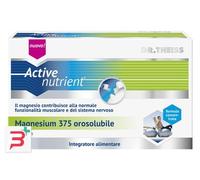 THEISS ACTIVE NUTRIENT MAGNESIUM 375 14 STICK OROSOLUBILI