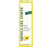 DR THEISS ARNICA GEL FTE 100