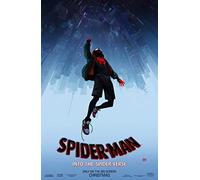 Theissen Spider-Man: Into the Spider-Verse - US Movie Wall Poster Print - Matte poster Frameless Gift 11 x 17 inch(28cm x 43cm)*IT-00231