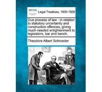 Theodore Albert Schroeder Due Process of Law (Tascabile)