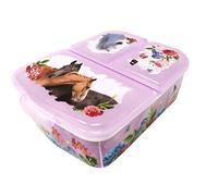 Theonoi, contenitore per il pranzo per bambini, a scelta: Avengers, Mickey, Paw Patrol, in plastica senza BPA, branco di cavalli