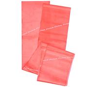 TheraBand Fascia elastica 2,5 m Rosso con borsa, manuale e tasca con cerniera - Livello 2