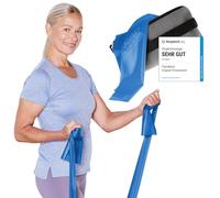 TheraBand 2,50 m con ancoraggio per porta + borsa blu | resistenza 2,6 kg | fascia da ginnastica | fascia elastica | allenamento a casa, allenamento con la forza, esercizi per la schiena, terapia