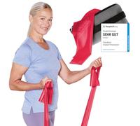 TheraBand 2,50 m con ancoraggio per porta + borsa rossa | resistenza 1,7 kg | bande di terra | fascia da ginnastica | fascia elastica | allenamento a casa | allenamento per l'allenamento con i pesi,