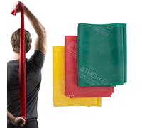TheraBand professionale in lattice bande di resistenza per la parte superiore del corpo, parte inferiore del corpo, e Core esercitazione, fisioterapia, pilates, Yellow/Red/Green - Beginner Set