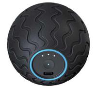 Theragun Palla Da Massaggio Wave Solo Black