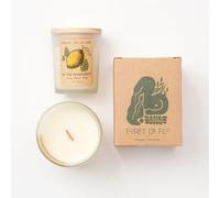 Therapeutic Aromatherapy Soy Candle (In The Rain Forest) 1pc - 3oz (85g)