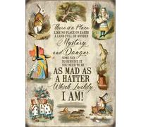 There Is A Luogo Come Nessun Alice IN Meravigliosa Collage Large Metallo Insegna