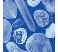 There Is Only Love And Fear