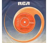 THERE'S NO OTHER WAY 7" (VINYL 45) UK RCA 1976