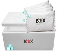 THERM BOX Box modulare da 31 m con 4 pile per frigo, 31 l, interno: 49 x 30 x 20 cm, contenitore termico riutilizzabile