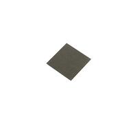 Thermal Grizzly Pad Termico Carbonaut 25 x 25 x 0,2 mm (Grigio)