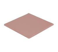 Thermal Grizzly Pad Termico Grizzly Minus 8 - 100x100x3mm