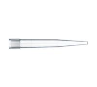 Thermo Scientific Finntip™ Punte per pipette con apertura ampia