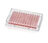 Thermo Scientific Nunc™ 96 pannelli microtitrici in polistirene con fondo rotondo