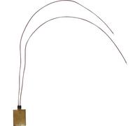 Thermo TECH Polyimid - Pellicola riscaldante autoadesiva, 24 V, 14,4 W, grado di protezione IPX4 (lunghezza x larghezza), 31 mm x 19,1 mm