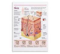 Thermoregulation Poster Sweat Glands Skin Structure Educational Guide | Learn how eccrine glands produce watery sweat while apocrine glands release thicker fluid under(Framed,08x12inch(20x30cm))