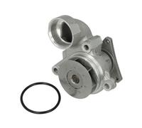 Pompa dell'acqua THERMOTEC D10526TT