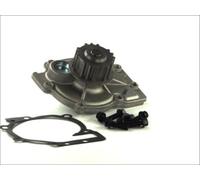 THERMOTEC D1V013TT Pompa dell’acqua, raffreddamento motore per FORD,RENAULT,VOLV