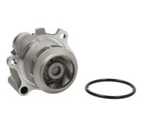 Pompa dell'acqua THERMOTEC D1W043TT