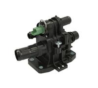THERMOTEC D2C009TT Termostato, refrigerante per CITROËN,FIAT,FORD,MAZDA,MINI,PEU