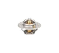 Termostato, refrigerante THERMOTEC D2CA006TT