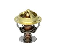 Thermotec Termostato refrigerante D2CU001TT senza alloggiamento