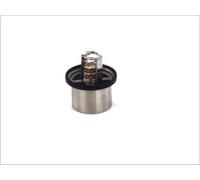 Termostato, refrigerante THERMOTEC D2DA001TT