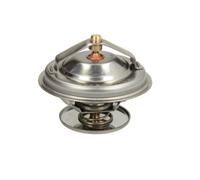 Termostato, refrigerante THERMOTEC D2FE006TT