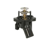 Termostato, refrigerante THERMOTEC D2G015TT