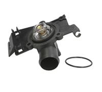 Termostato, refrigerante THERMOTEC D2S002TT
