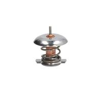 Termostato, refrigerante THERMOTEC D2V001TT