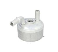 THERMOTEC D4B032TT - Radiatore dell'olio con cambio automatico compatibile con MINI Countryman R60 24119812996 9812996