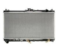 Radiatore THERMOTEC D73025TT