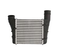 Intercooler THERMOTEC DAA001TT