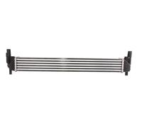 Thermotec Intercooler DAA005TT per Audi, SEAT, SKODA, VW